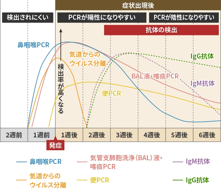 新型コロナウイルスにおける発症経過と各検査の検出時期